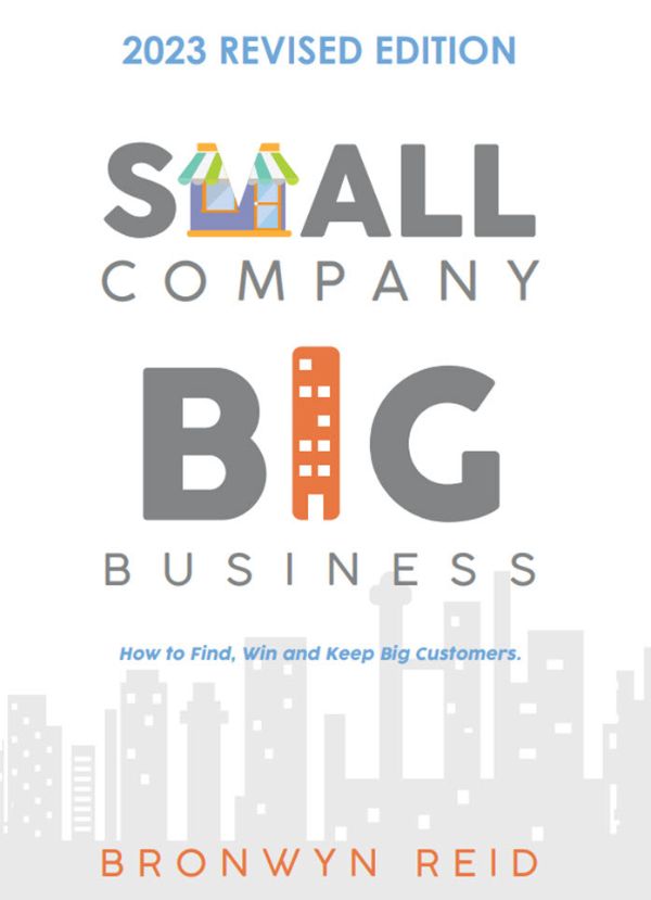 Small Company Big Business by Bronwyn Reid